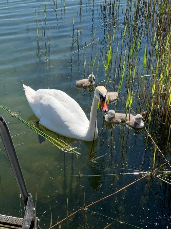 Sweet App Am See Ponitz am See 外观 照片