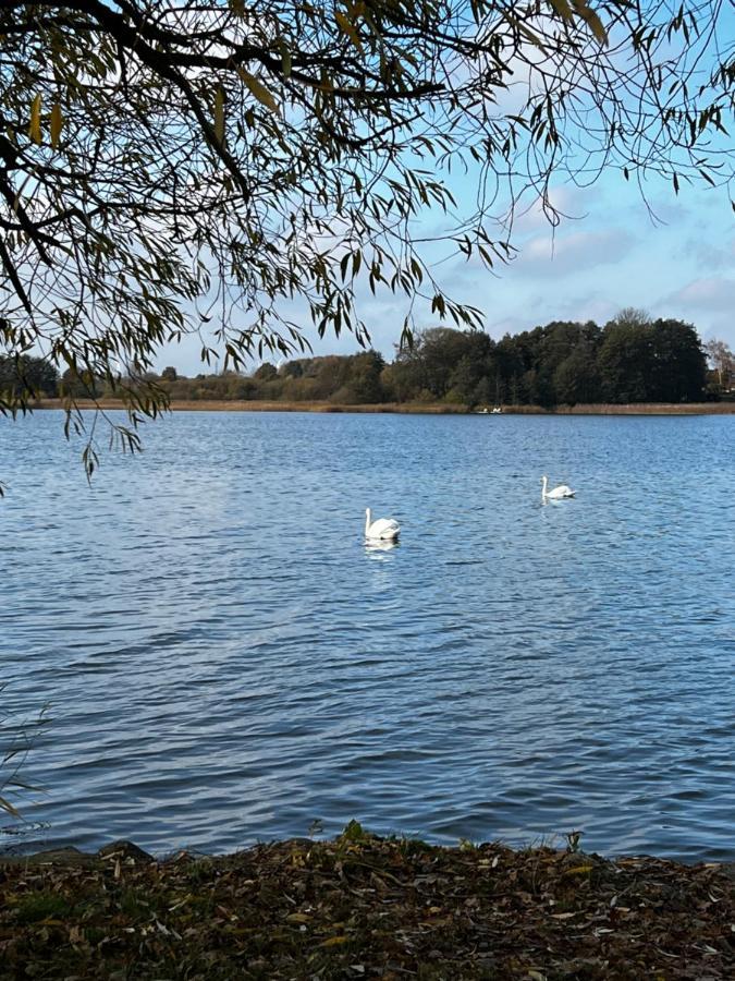Sweet App Am See Ponitz am See 外观 照片